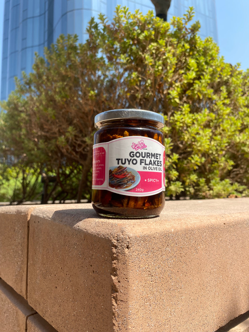Gourmet Tuyo Spicy