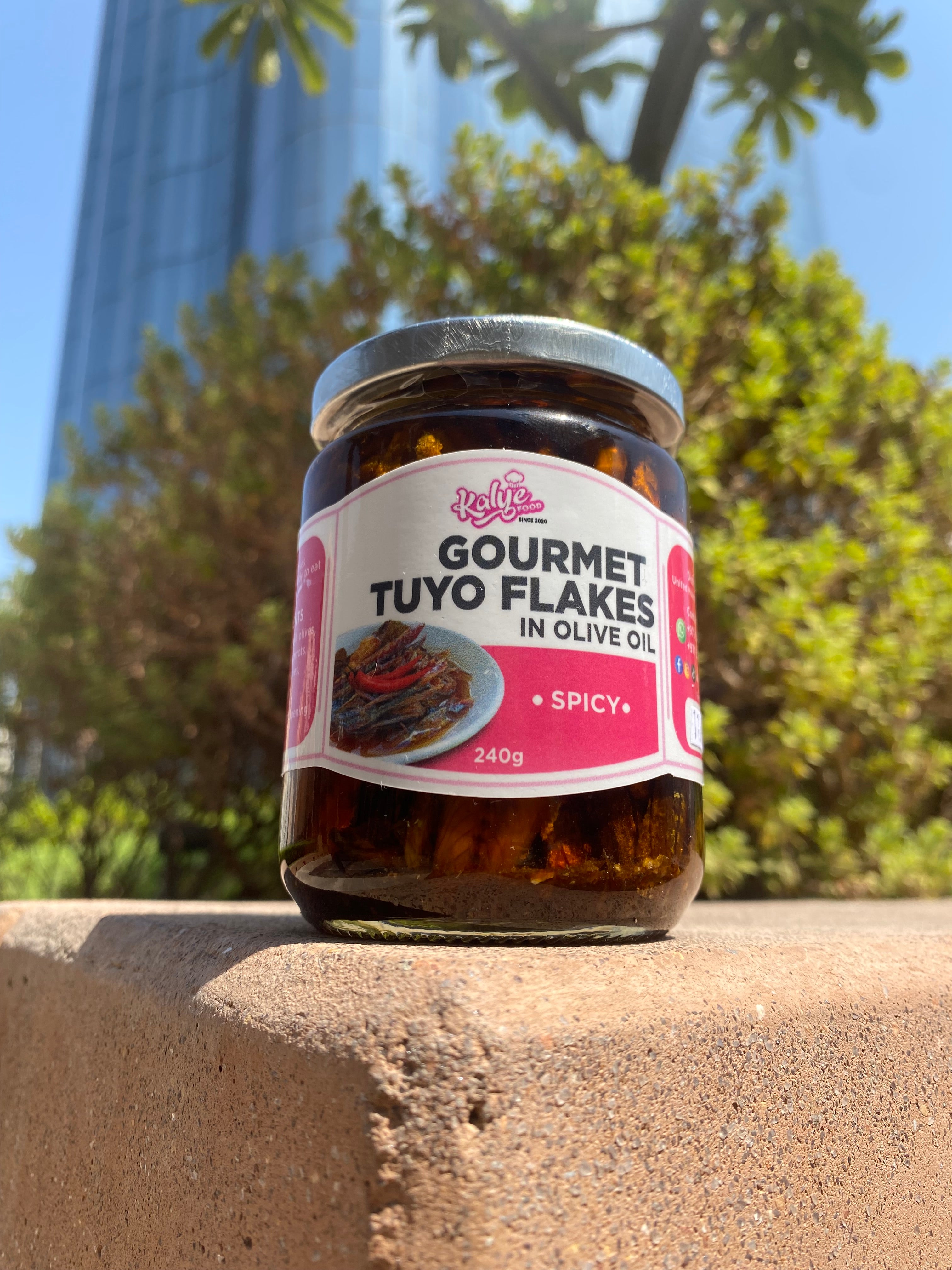 Gourmet Tuyo Spicy
